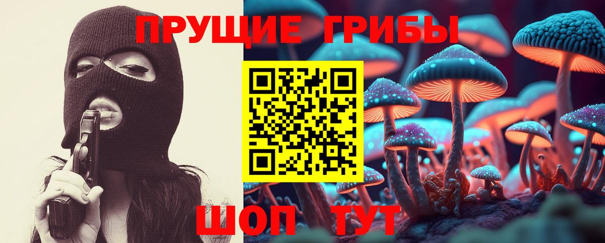 Псилоцибиновые грибы Psilocybine cubensis Мурманск